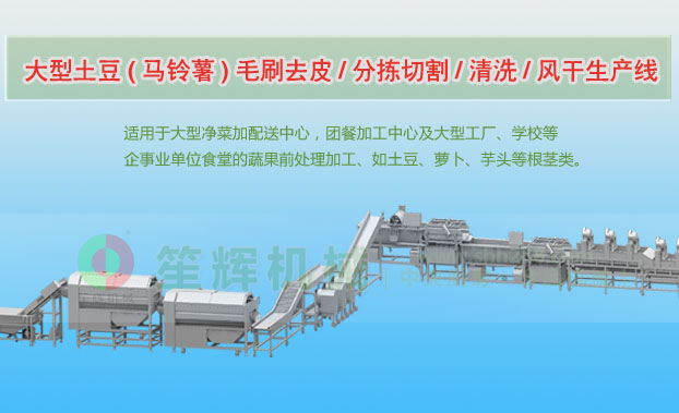 海原连续式土豆去皮清洗切割风干生产线